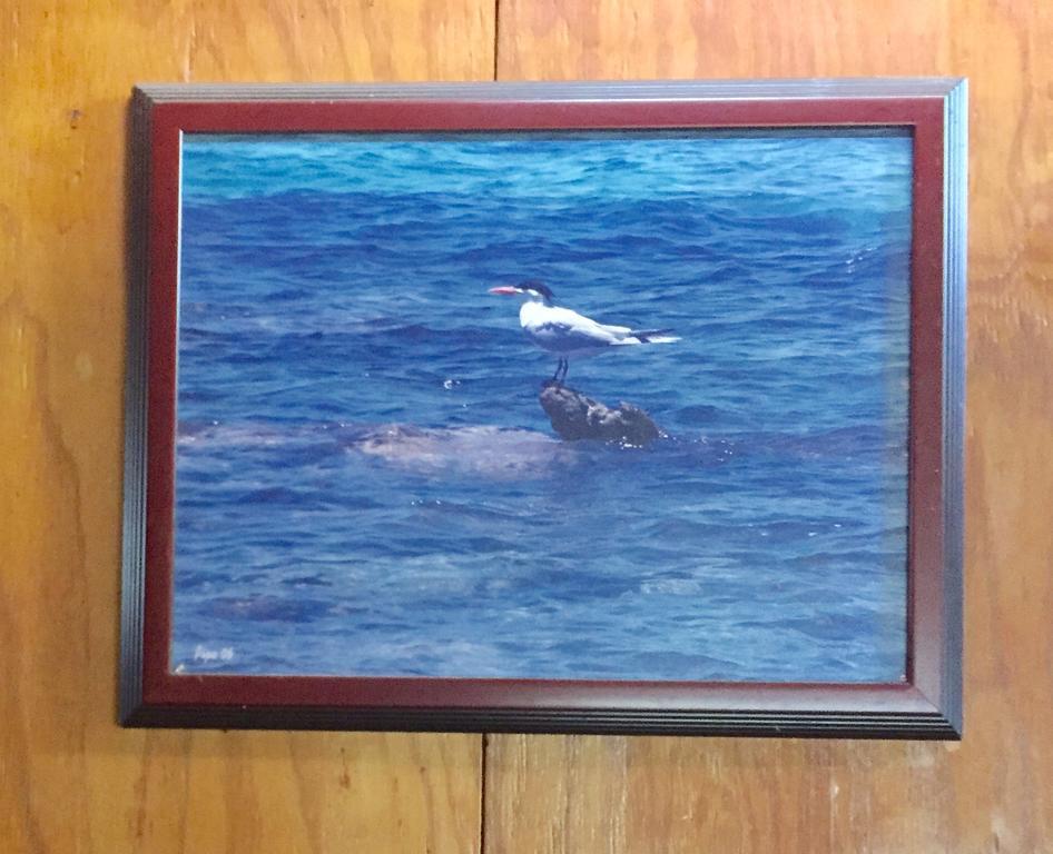 Dancing Tortugas Hotel Aguadilla Exterior foto